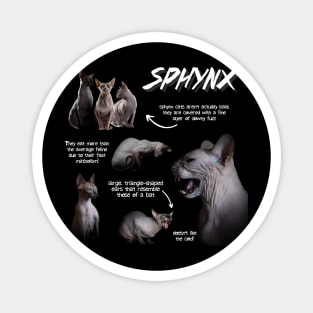 Sphynx Cat Fun Facts Magnet